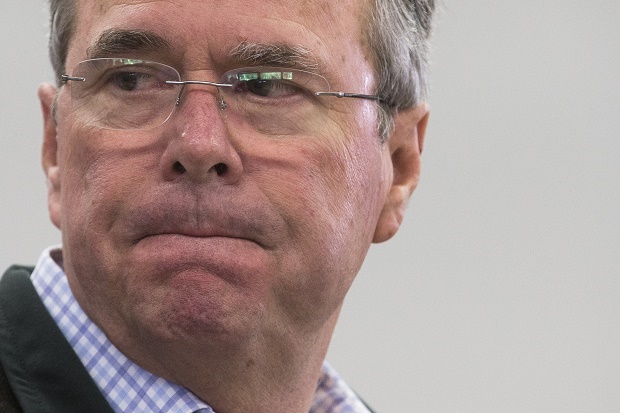 Jeb Bush