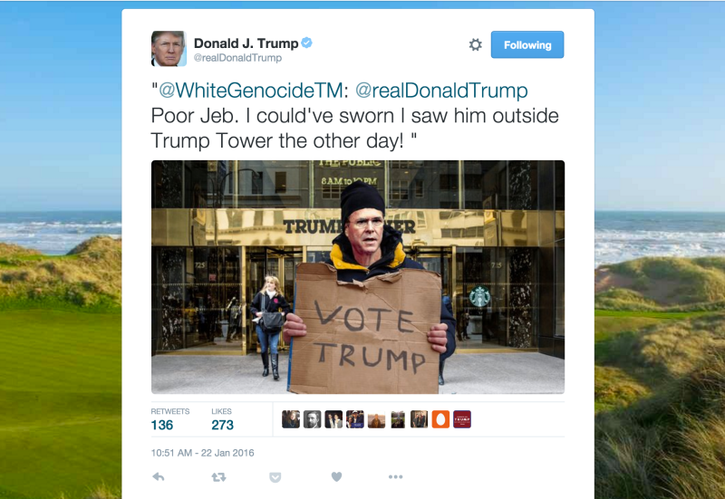 Donald Trump Would Like You to See This Tweet From @WhiteGenocideTM