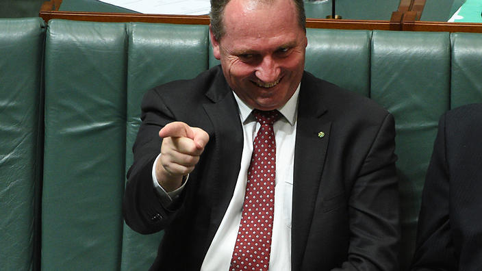 Nationals MP Michelle Landry says Barnaby Joyce will make a great party leader