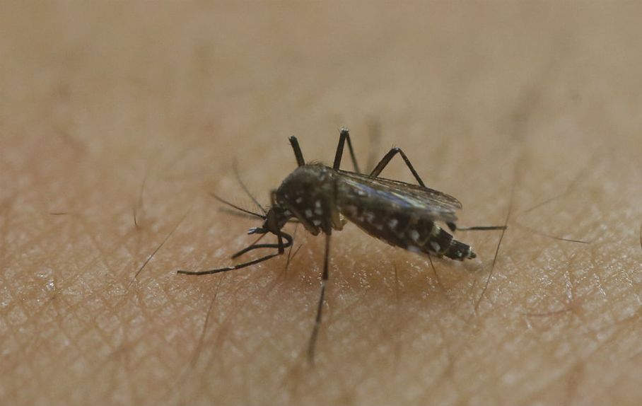 Local Officials Monitor Zika Cases, Issue Travel Warnings