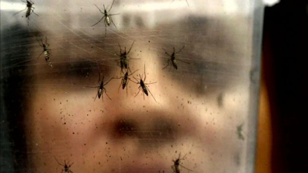 Let's Get This Straight: There Is NOT A U.S. Zika Virus Outbreak