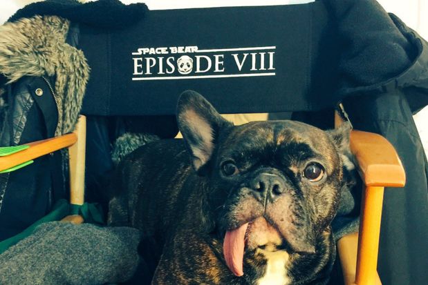 Star Wars Episode VIII Working Title Revealed by Carrie Fisher