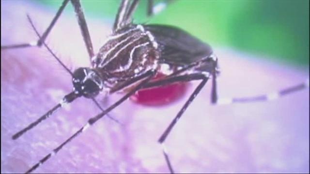 First case of Zika virus confirmed in Chicago