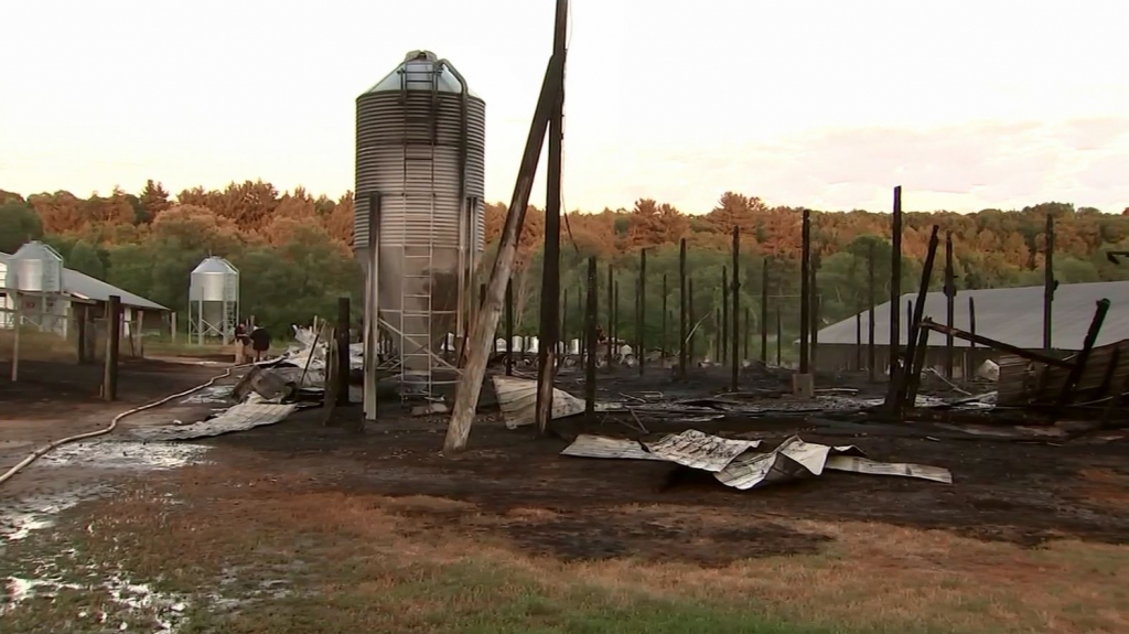 7000 baby turkeys killed in Massachusetts barn fire