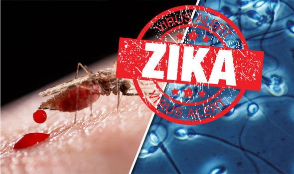 GETTYZika virus can remain in sperm for six months