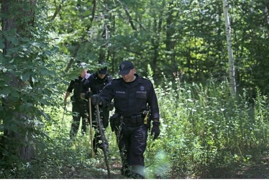 State Police search the woods for evidence after a woman visiting her mother was found slain Tuesday Aug. 9 2016 in Princeton Mass. Police found the body of Vanessa Marcotte on Sunday night about a half-mile from her mother's home in Princeton Worces