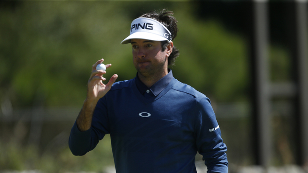 Bubba Watson has been made a vice-captain after missing out on a wild card