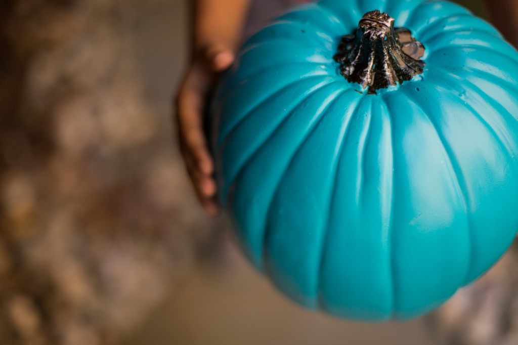 Credit The Teal Pumpkin Project  FARE