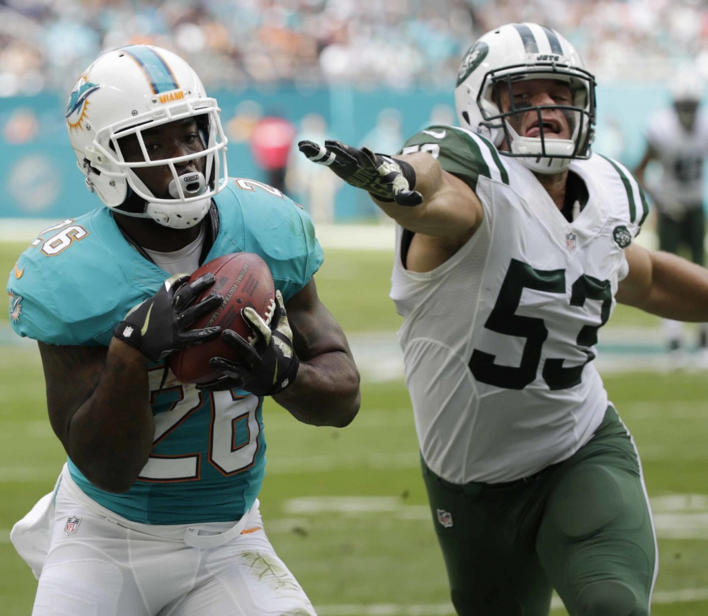 Miami Dolphins running back Damien Williams grabs a pass as New York Jets outside linebacker Mike Catapano is late with the tackle during the first half of an NFL football game Sunday Nov. 6 2016 in Miami Gardens Fla. (AP