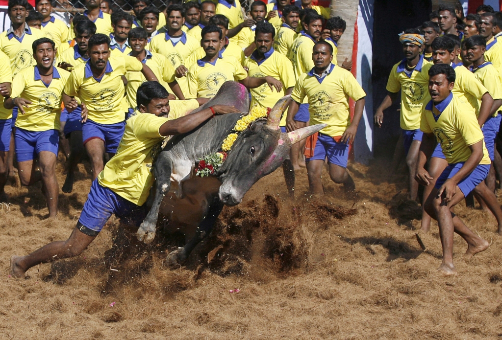 Jallikattu row: Tamil Nadu CM meets Modi