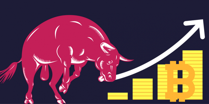 Raging Bitcoin Bull