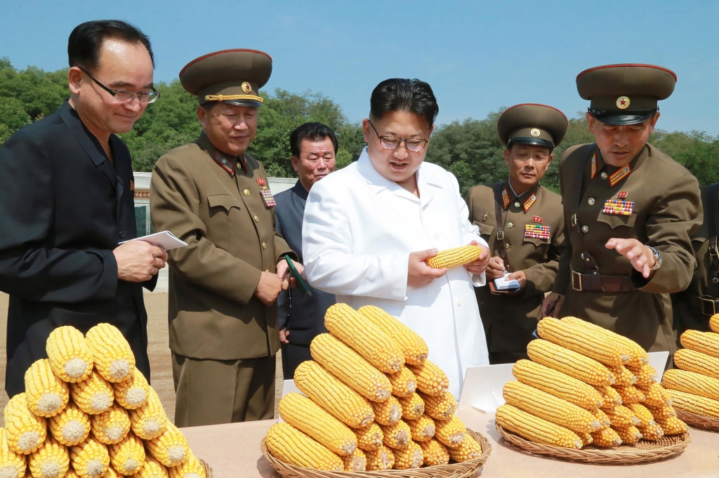 Kim Jong Un inspects a corn farm in September