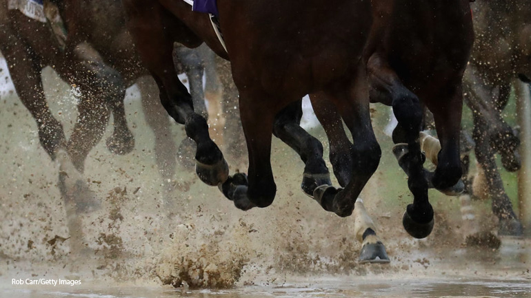 Meet Your New Favorite Kentucky Derby Competitor, Patch, The One-Eyed Horse