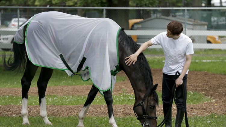 Belmont Stakes up for grabs to end uneven Triple Crown