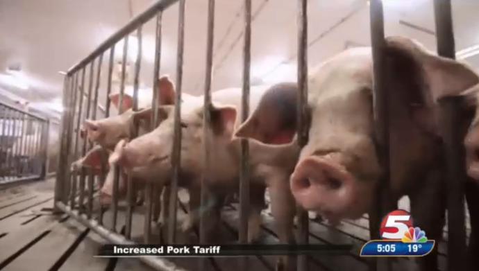 Chinese tariffs sting NC pork producers, but industry frets over larger trade fights | News & Observer