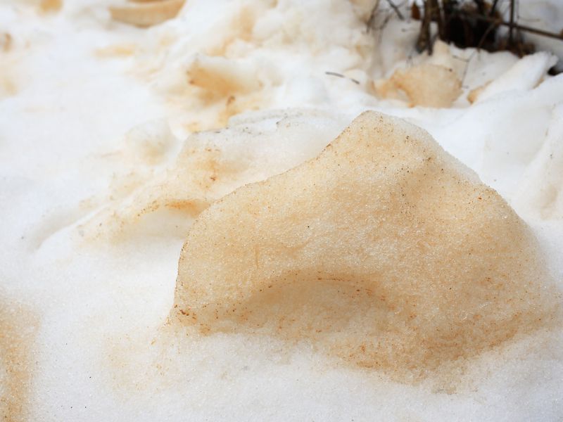 Orange snow dusted eastern Europe thanks to sands from Sahara