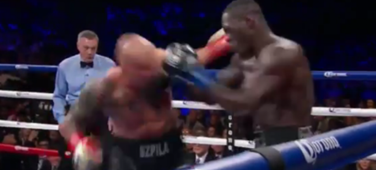 Deontay Wilder beats Artur Spzilka with stunning knockout