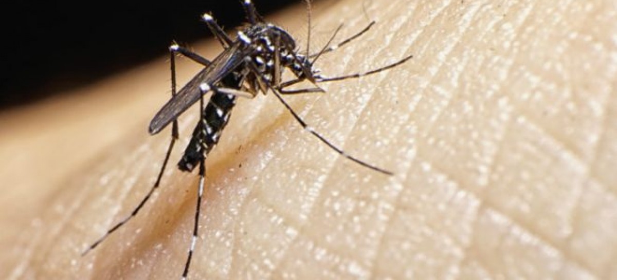 CDC expands tropical virus alert; 22 destinations on list