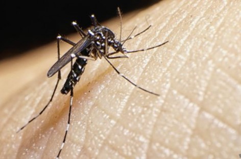 CDC expands tropical virus alert; 22 destinations on list