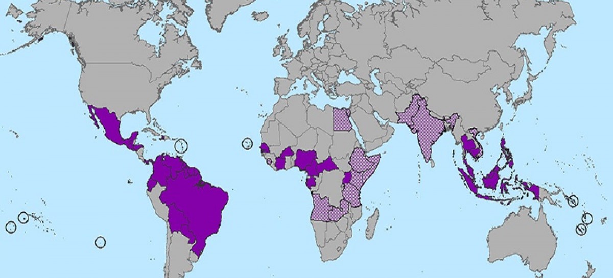 CDC Develops Interim Guidelines for Pregnant Women During a Zika Virus Outbreak