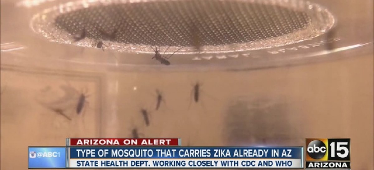 Zika virus can spread to countries having Aedes mosquito