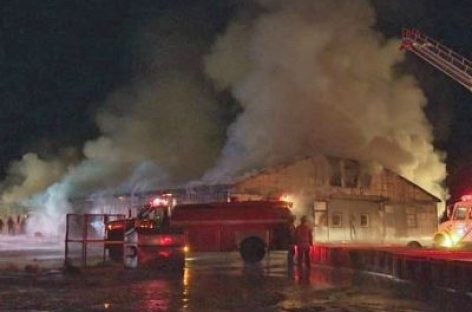 Dozens of horses perish in Puslinch barn fire