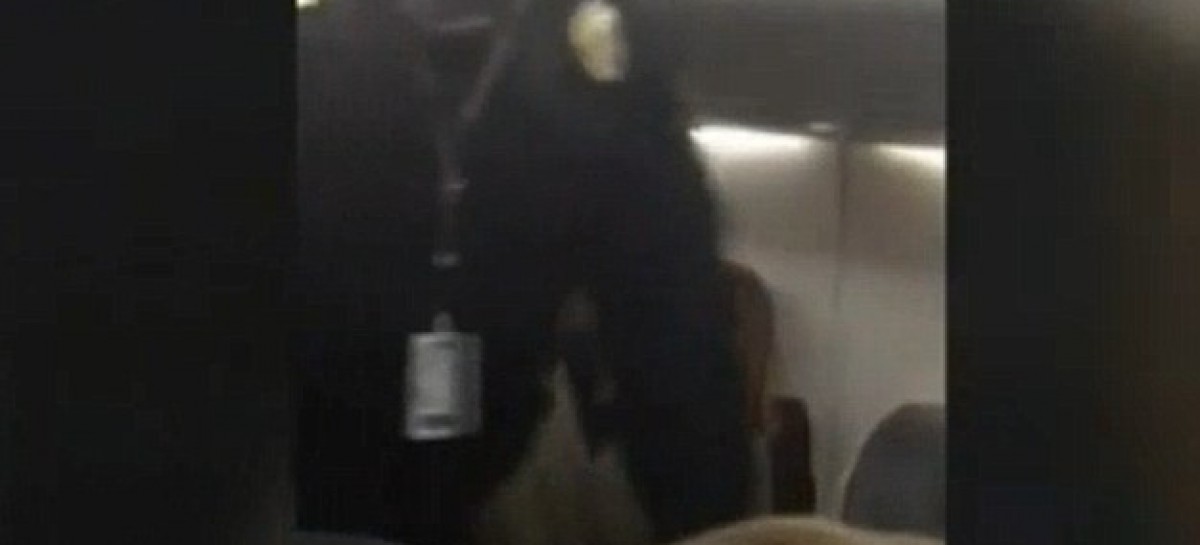 Rowdy Woman Forces NY-to-Chicago Plane’s Detroit Stop