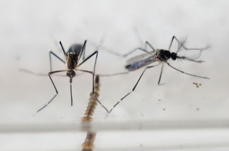 State confirms 3 SC residents tested for Zika virus