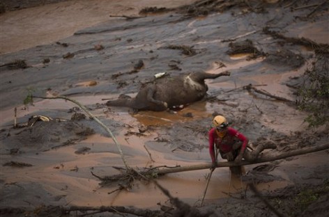 BHP Billiton slashes dividend amid plunging commodity prices