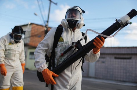 Brazil launches nationwide operation to eliminate mosquito