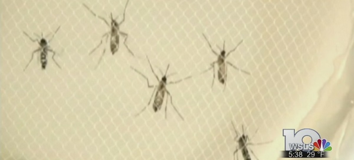 CDC sends Florida 950 kits to test for Zika virus antibodies