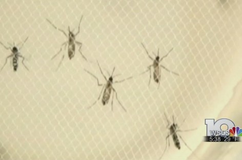 CDC sends Florida 950 kits to test for Zika virus antibodies