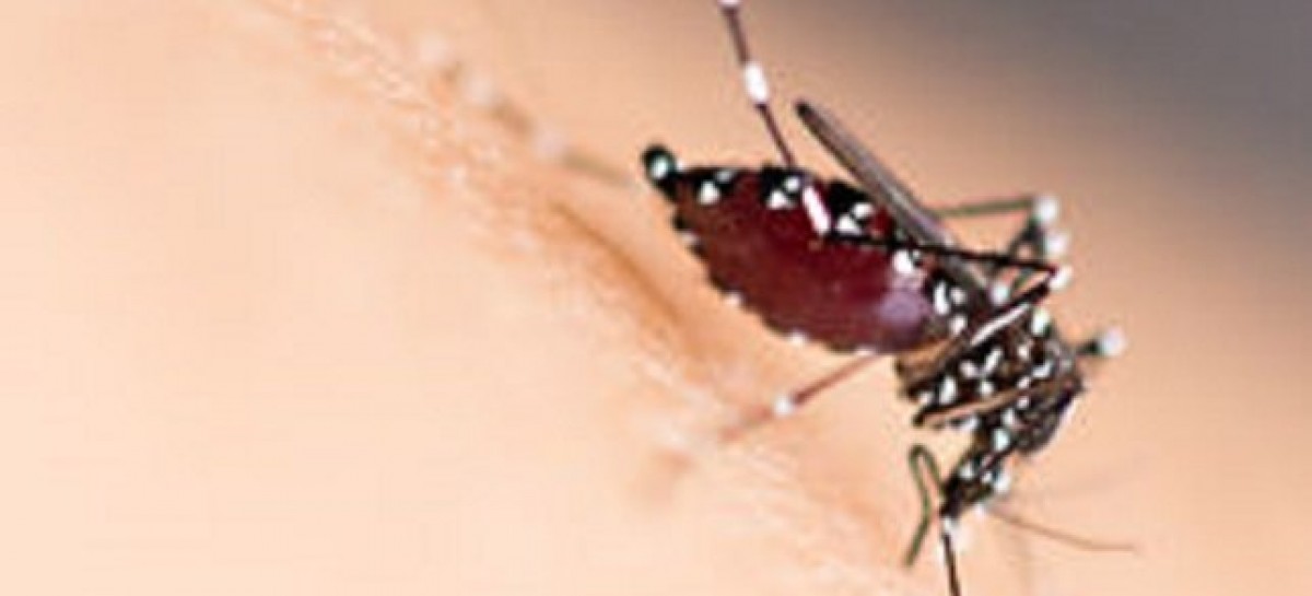 Sexually-transmitted Zika case confirmed in Texas