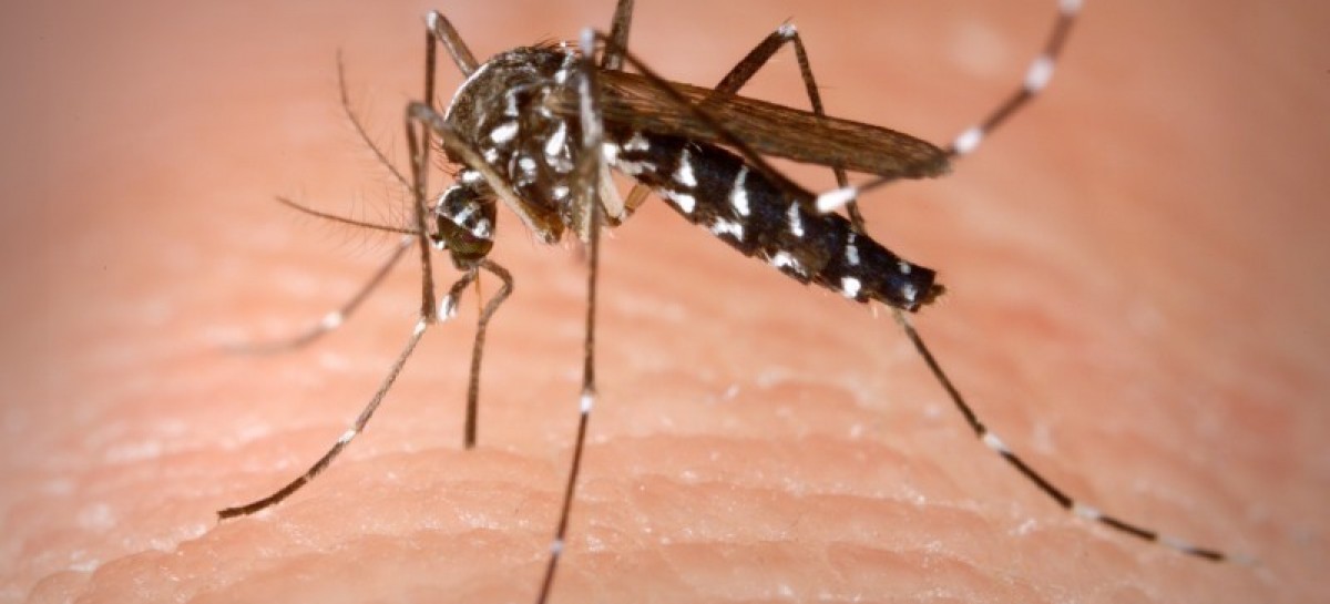 Indiana health officials report 1st case of Zika virus