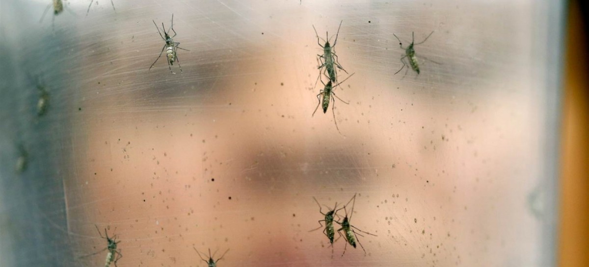 Metro Health: Six people in Bexar Co. tested for Zika virus