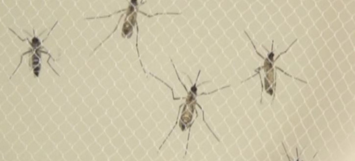 More than 2100 pregnant Colombian women infected with Zika virus