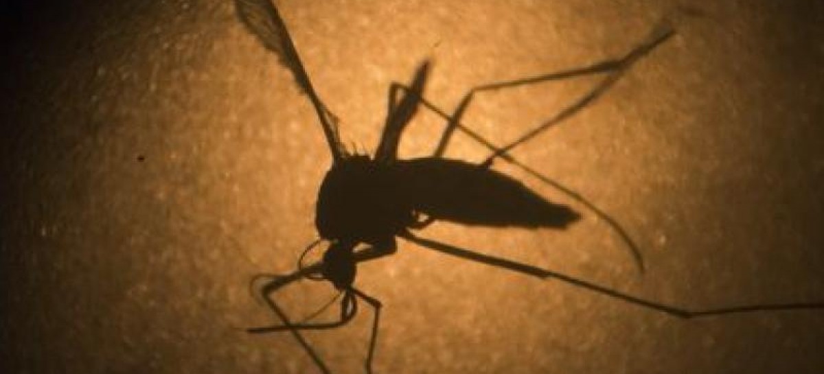 NC health officials report first case of travel-related Zika