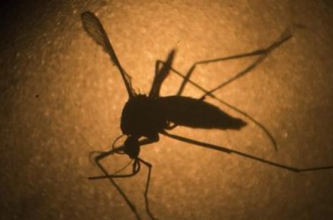 NC health officials report first case of travel-related Zika