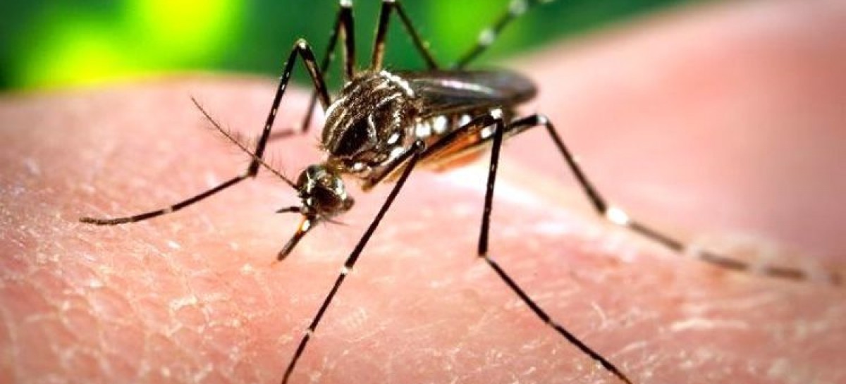 Zika Virus Cases Confirmed In DC