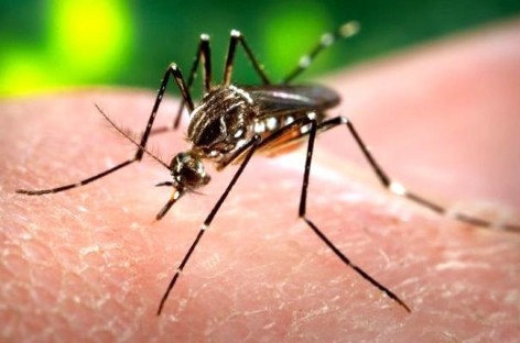 Zika Virus Cases Confirmed In DC