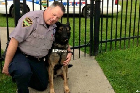 $50K raised to help retired officer buy his former K-9 partner