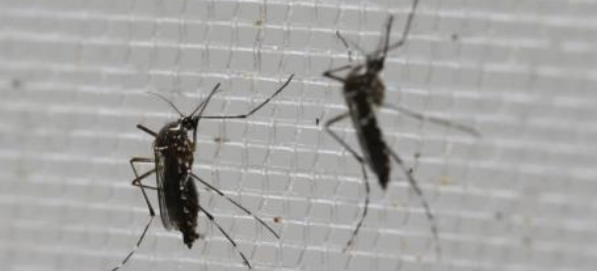 USOC to hire infectious disease specialists for Zika