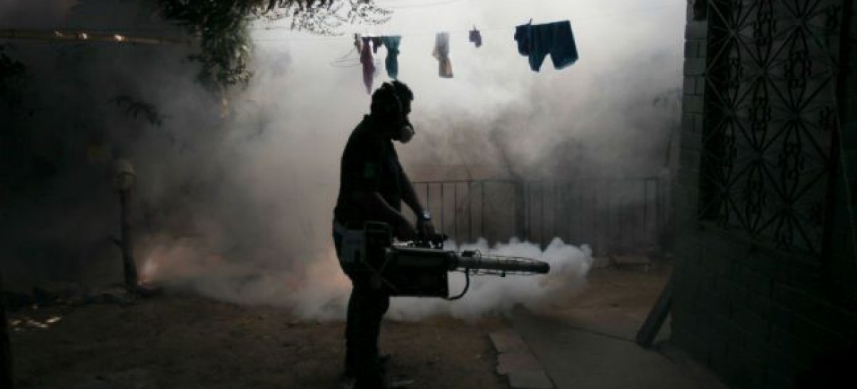 Zika Virus Spreads to 20 Latin American Countries