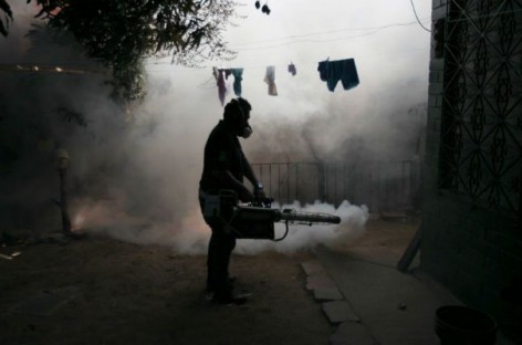 Zika Virus Spreads to 20 Latin American Countries