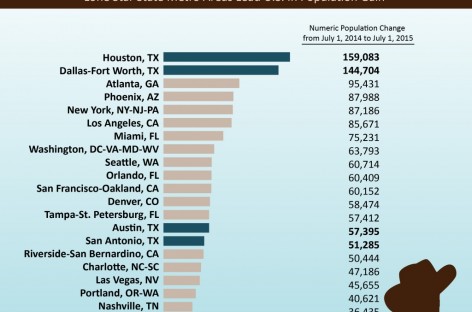 Two Texas metro areas make biggest US population gains -US Census