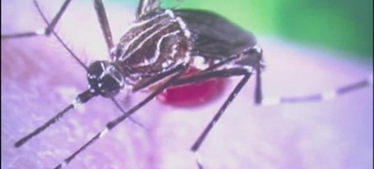 Woman tests positive for Zika virus at Chicago North Side hospital