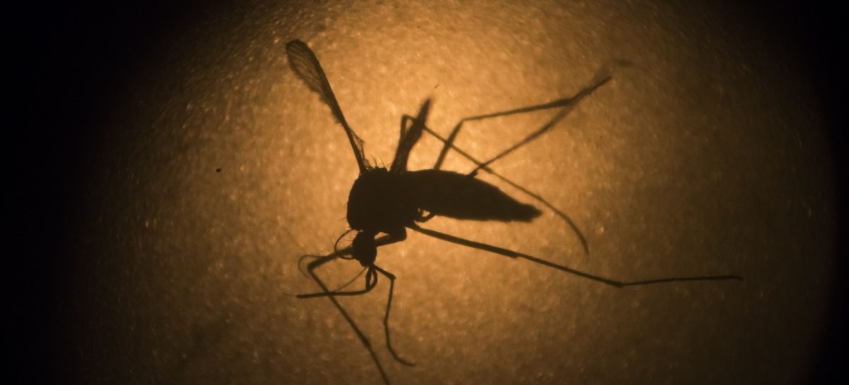 State health department begins campaign to prevent spread of zika virus