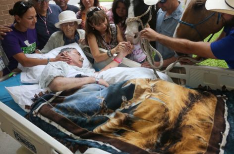 Dying vet reunites with beloved horses