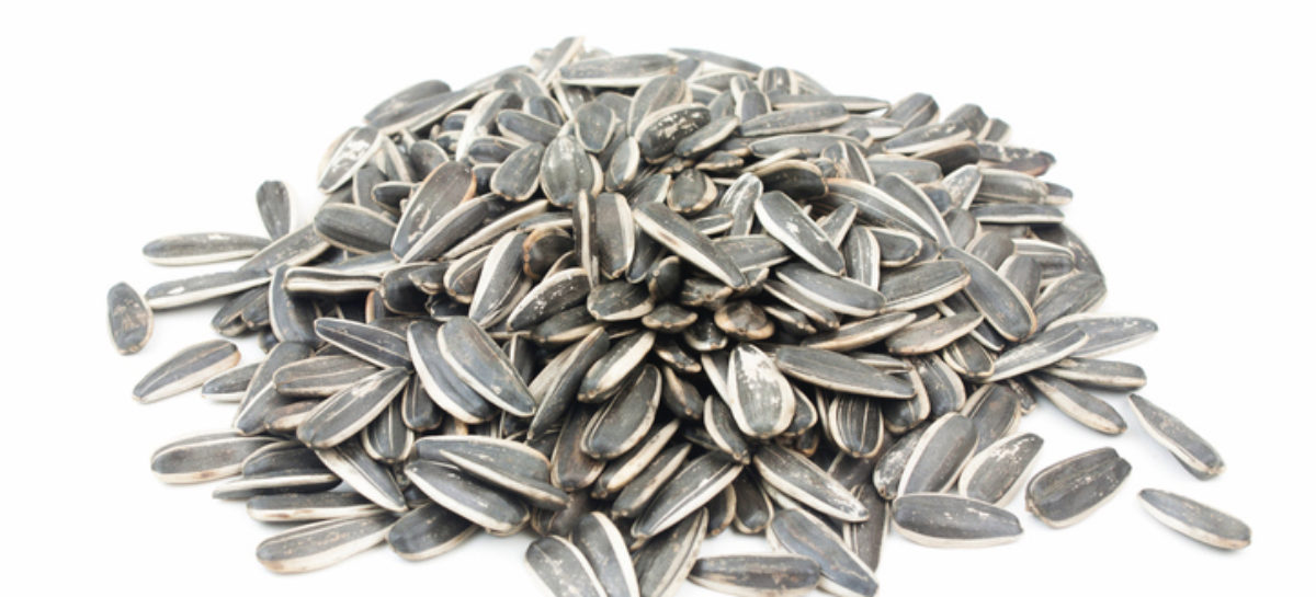 Possible Listeria Contamination Leads to Voluntary Recall of Some Sunflower Seed Products