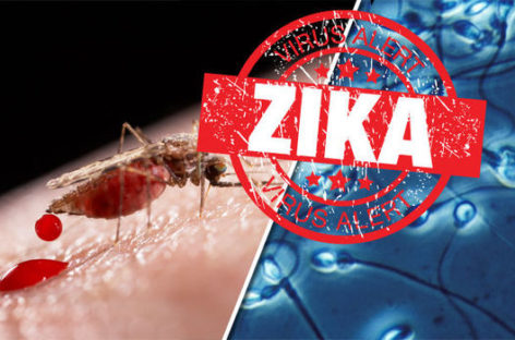 Two new cases of Zika virus reported in Miami-Dade County